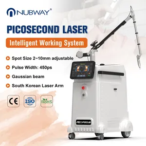 의료 수준 Picosecond 레이저 피코 레이저 미용 장비 문신 제거 기계