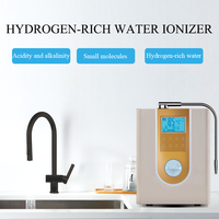 SOUDRON pré vente pH 11 Kangen système alcalin hydrogène ioniseur d'eau-800mv 220V distributeur pour usage domestique eau ionisée