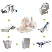 Knoflookpoeder verwerkingslijn Knoflookpoeder productiemachine Knoflookproductielijn Knoflookpoeder productielijn