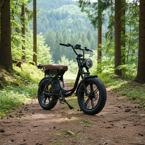 Phare de vélo électrique à double suspension résistant à la corrosion Vélo électrique pour adultes Randonnée hivernale - Product Image 1