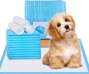 Tapis d'apprentissage pour chiots jetables en charbon de bambou réticulé de haute qualité 60*60 - Product Image 1