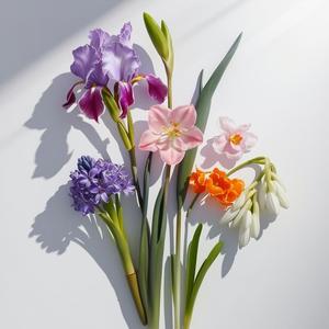 Divain Parfums 117 For Her Intense Musk Profumo da Donna Otono Iris - Product Image 2