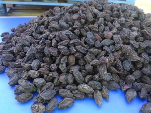 Xi Mei Frutas de ciruela secas Todo <span class=keywords><strong>Prunus</strong></span> Domestica Bayas deshidratadas para alimentos - Product Image 4