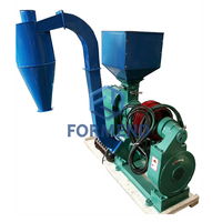 Machine de polissage du riz N70, N120 pour le traitement du riz blanc, fabriquée en Chine, modèle 2024, à vendre