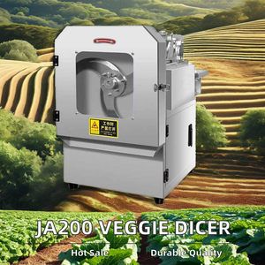 Totalmente automático, multifuncional, cortador de verduras verdes para el hogar, cebollas, patatas, frutas, jengibre, zanahorias, frijoles, para hoteles, granjas - Product Image 2