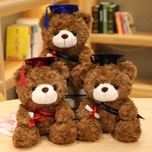 Oso de Peluche Personalizado con Camiseta de Graduación, Pequeño, para Regalos de Graduación - Product Image 1