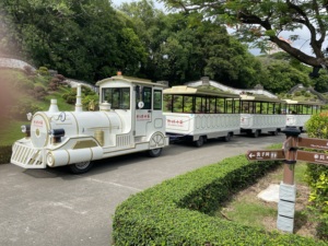 Servicio OEM/ODM, Tren Turístico Eléctrico sin Rieles de Baja Velocidad y Cero Emisiones, con Capacidad para 62 Adultos, para Turistas - Product Image 2