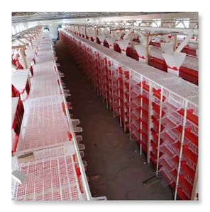 Otomatik gübre sökücü katman kafesleri ile bıldırcın çiftliği için 10000 kuş kafesi tasarımı - Product Image 6