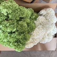 Fleur d'hortensia artificielle en latex à toucher réel, vente en gros de fleurs d'hortensia, fleurs artificielles pour mariage, arrangement floral