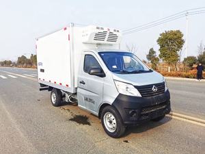 미니 냉동 냉동 냉동고 신선한 유지 야채 식품 배달 트럭 - Product Image 4