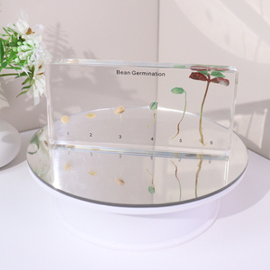 Bán buôn nhựa trong suốt thực vật thực Mẫu nảy mầm Vòng đời Đồ chơi học tập tài nguyên cho trẻ em - Product Image 4