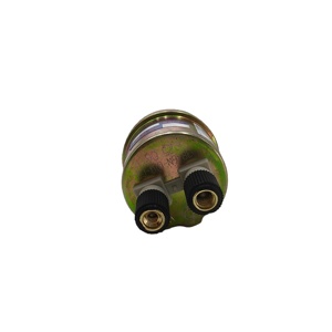 Pièces de rechange de haute qualité pour système de moteur de camion, capteur de pression 3846N-010-C2, alarme pour moteur Cummins - Product Image 3