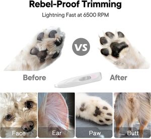 Low Noise <b>Dog</b> Paw Trimmer with LED <b>Light</b> Cordless Rechargeable Electric Pet Paw Hair Trimmer Grooming Clippers for <b>Dog's</b> Feet - Product Image 4