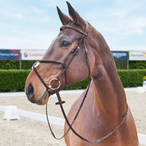Equestrian Girth for Horse Jumping Nylon Material 60x80x90cm - Product Image 5