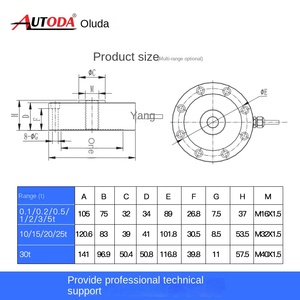 ट्रक स्केल 1 टी लोड तनाव और संपीड़न मिश्र धातु स्टील 30 टी - Product Image 3