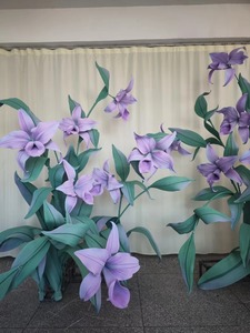 <span class=keywords><strong>Dendrobium</strong></span> <span class=keywords><strong>azul</strong></span> púrpura de personalización de colores para interiores verano Hotel Mall jardín vestíbulo boda - Product Image 5