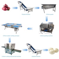 Industriële uienpelschilmachine met 1 jaar motorgarantie CN;HEN Productiecapaciteit voor fruit- en groenteverwerking