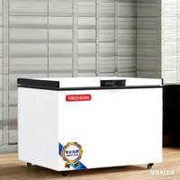 Congélateur électrique miniature YINZHENG à porte pliante, blanc, à une seule température, économe en énergie, pour les foyers, les camping-cars, les hôtels et les garages résidentiels