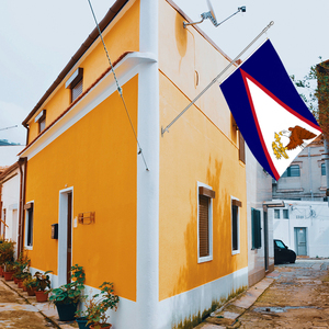 <span class=keywords><strong>Drapeau</strong></span> des Samoa américaines imprimé sur mesure 3x5ft en polyester <span class=keywords><strong>de</strong></span> soie simple face avec logo personnalisé pour les bannières nationales et les drapeaux d'affichage - Product Image 3