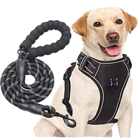 Promotion sur la laisse de dressage pour chien en cuir réfléchissant rayé, durable avec poignée rembourrée