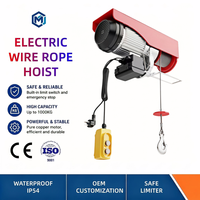 Mini palan électrique sans fil CE de qualité industrielle à longue durée de vie 110 V pour levage en atelier, grue, entrepôt et équipement de scène