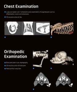 Sistema di tomografia del Computer veterinario diagnosi di malattia medica per animali domestici ospedale Computer tomografia Scanner Vet <span class=keywords><strong>CT</strong></span> - Product Image 6