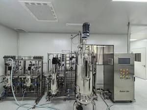 Fermentador paralelo del biorreactor a escala piloto del biorreactor del acero inoxidable de Bailun usado para el biorreactor de las bacterias que se encuentran en la parte superior - Product Image 4