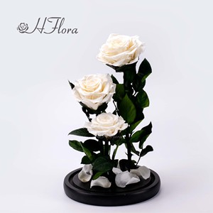 Hflora Vente en gros de boîtes cadeaux personnalisées avec dôme en verre et rose préservée, arrangement floral éternel longue durée pour la Saint-Valentin, la fête des mères - Product Image 4