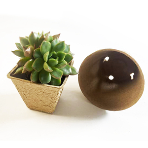 Chất Lượng Cao Phân Hủy Sinh Học Bột Giấy Hạt Giống Cup Thân Thiện Với Môi Nursery Container Tuyên Quảng Trường/Hình Dạng Tròn Hoa - Product Image 4