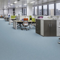 Linoleum – feuille de Bus en plastique, tapis d'hôpital, en vinyle gris, tapis de salle de sport, Style bois, Pvc, rouleau de sol