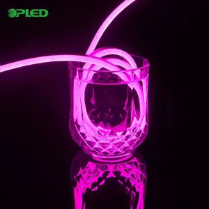 Repsn Silicone 12v Outdoor Indoor Flex Neon Strip Rope Decoration Lamp Words Sign Letter Led Neon Lights 10meters /roll