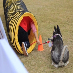 Jouets pour chiens de parc Tunnel d'agilité en PVC Équipement d'entraînement extérieur flexible et étanche pour animaux de compagnie - Product Image 2