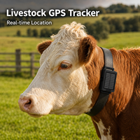TrackerKing Traceur GPS de gestion de flotte alimenté par énergie solaire Réseau 4G LTE Application Android iOS Suivi sur PC LBS Accessoires pour l'élevage
