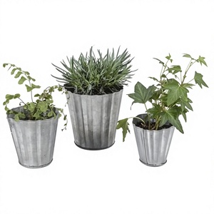 Wholesale 3 Piece Tin <b>Pot</b> Planter Set Vintage Decorative Galvanized Metal Planters For Indoor Outdoor Flower <b>Pot</b> Arrangements - Product Image 1