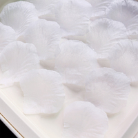 Élégant coffret d'invitation de mariage blanc avec décoration de pétales, carte d'invitation en acrylique transparent et ruban