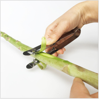 Éplucheur de légumes de cuisine à double lame en acier inoxydable pour carottes, asperges et pommes de terre