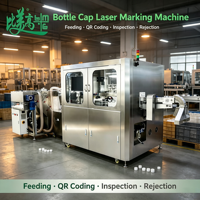 Machine de marquage laser UV haute précision avec autofocus, collecte de données intelligente automatique, vérification du code de poids et élimination des défauts