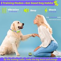 Elektronisches Hundetrainingshalsband Wasserdichtes Wiederaufladbares Erziehungshalsband für Hunde mit Piepton Vibration Sichere Schockmodi