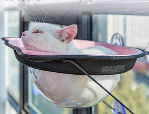 Kapsül tarzı küçük kedi dinlenme koltuk pencere levrek hamak kediler Kitty yatak koruması dayanıklı ağır vantuz - Product Image 5
