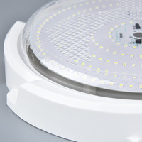 Plafonnier solaire d'intérieur de système solaire de 50W 100W 200W 300W 500W avec le panneau solaire