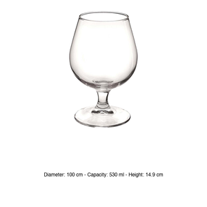 Copa de Degustación de Coñac Bormioli Rocco Riserva 53 cl H 14.9 cm Ø 10 cm - Product Image 3