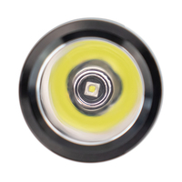 Senter led Jepang 3w isi ulang daya AA Harga Murah Tiongkok