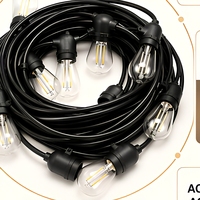 Guirlande lumineuse LED de 15 m, ampoules à filament S14, IP54, dimmable, blanc chaud, lumières suspendues pour jardin