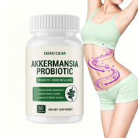 Capsules Probiotiques Akkermansia OEM/ODM : Enzymes Digestives, Supplément pour la Flore Intestinale, Soulagement Post-Repas pour Adultes, Soutien à la Santé Intestinale