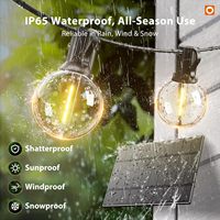 Guirnalda de Luces Solares para Jardín, IP67 Impermeable, con Sensor de Movimiento, 13 Bombillas LED Resistentes a Impactos, Luz Blanca Cálida, Regulable, con Batería