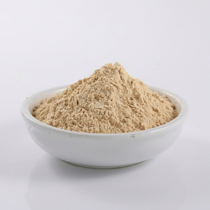 Ajo Deshidratado Premium en Polvo para Procesamiento de Alimentos, Suministro al por Mayor y Exportación Global - Product Image 1