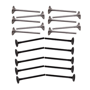 B5254T Motor Einlass- und Auslassventil-Set für Volvo <span class=keywords><strong>2.3</strong></span> 2.4 2.5 C30 C70 S40 S60 S80 V40 V50 V60 V70 XC60 XC70 2.4L 2.5L T5 L5 01-16 - Product Image 1