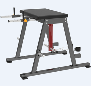 Máquina de Extensión de Piernas para Gimnasio Comercial, Equipo de Gimnasio Interior Personalizado, Gran Venta, Máquina de Hiperextensión Inversa - Product Image 2