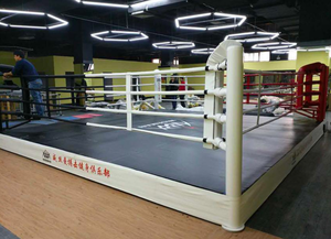 Venta internation FIB comercial estándar anillo de Boxeo Pro jaula de MMA UFC Octagon Pro estera de lucha para la exportación - Product Image 3