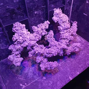 Aritificial <span class=keywords><strong>Saltwater</strong></span> Aquarium <span class=keywords><strong>Fish</strong></span> Reef Tank Landschapsarchitectuur Steen Voor Verkoop - Product Image 2